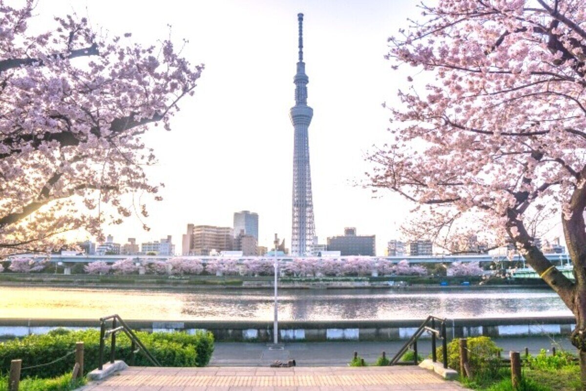 🏞️ 하마초 공원(하마초 코엔) 이미지 7